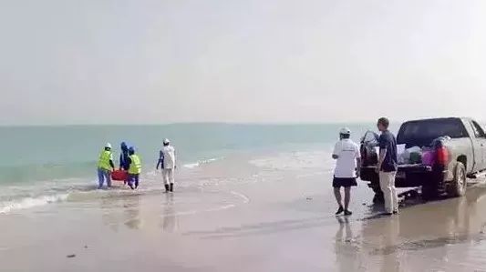 凯时尊龙人生就是博·Z6(中国)首页官网