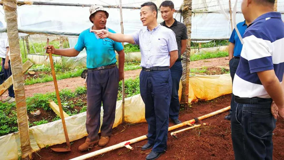 凯时尊龙人生就是博·Z6(中国)首页官网