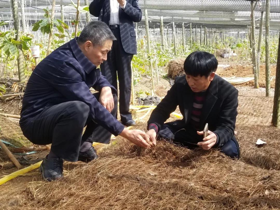 凯时尊龙人生就是博·Z6(中国)首页官网