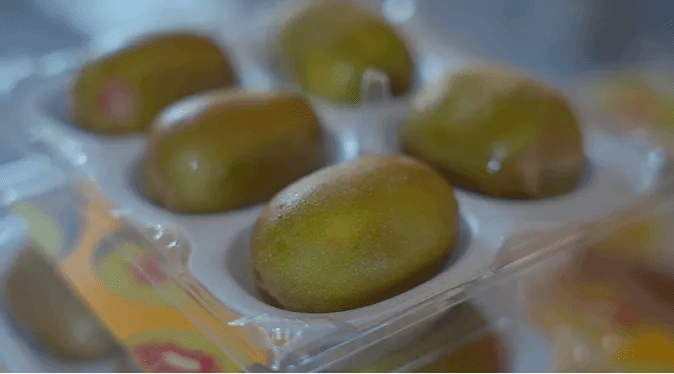 凯时尊龙人生就是博·Z6(中国)首页官网