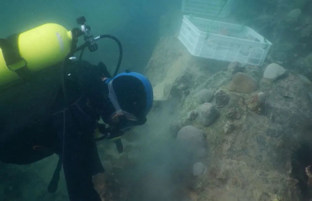 凯时尊龙人生就是博·Z6(中国)首页官网