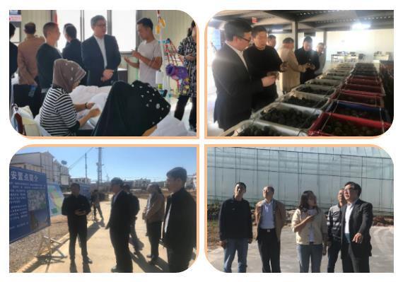 凯时尊龙人生就是博·Z6(中国)首页官网