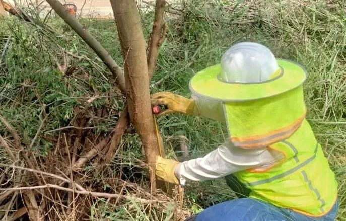 凯时尊龙人生就是博·Z6(中国)首页官网