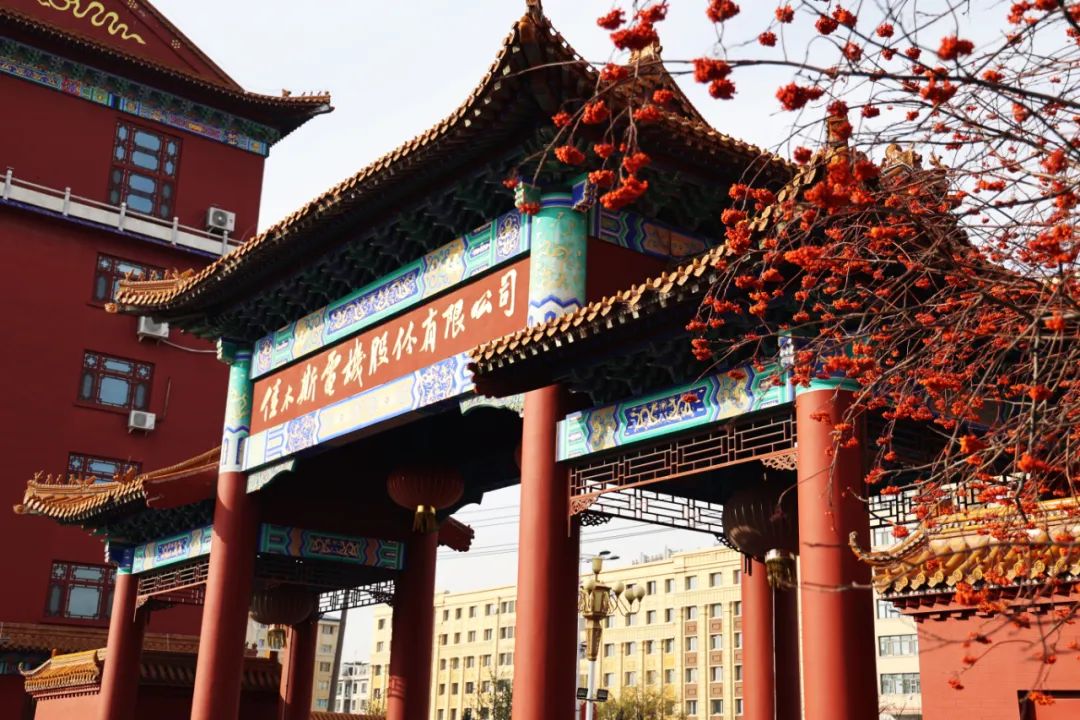 凯时尊龙人生就是博·Z6(中国)首页官网