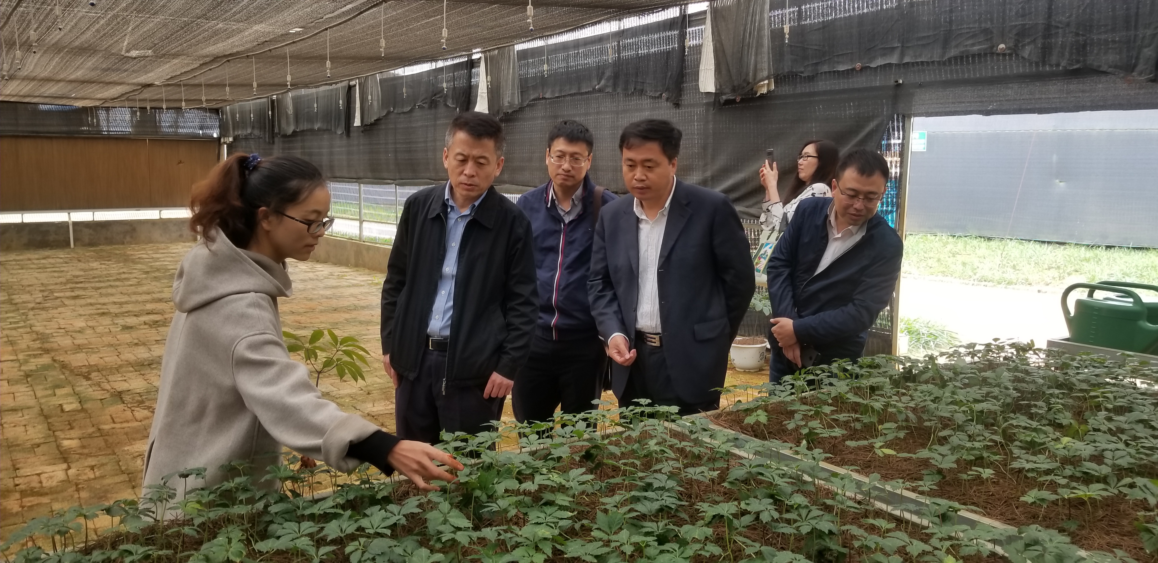 凯时尊龙人生就是博·Z6(中国)首页官网