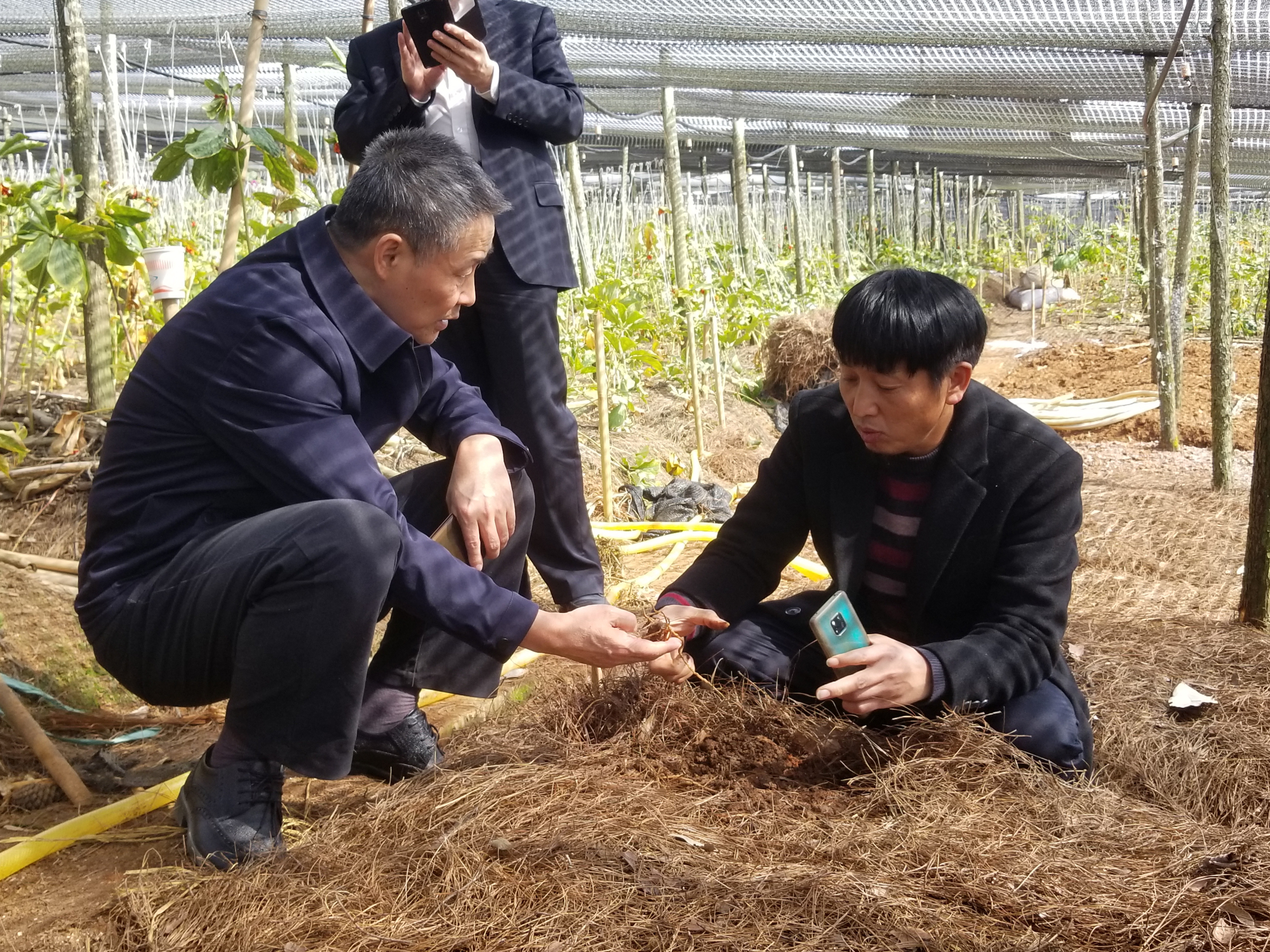 凯时尊龙人生就是博·Z6(中国)首页官网