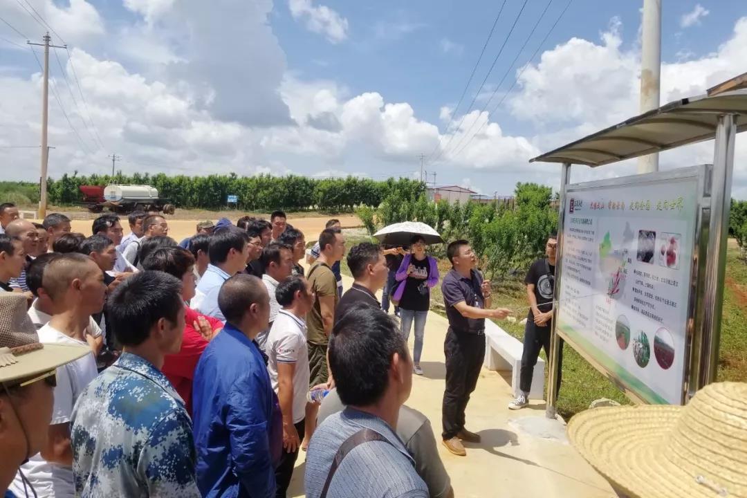 凯时尊龙人生就是博·Z6(中国)首页官网