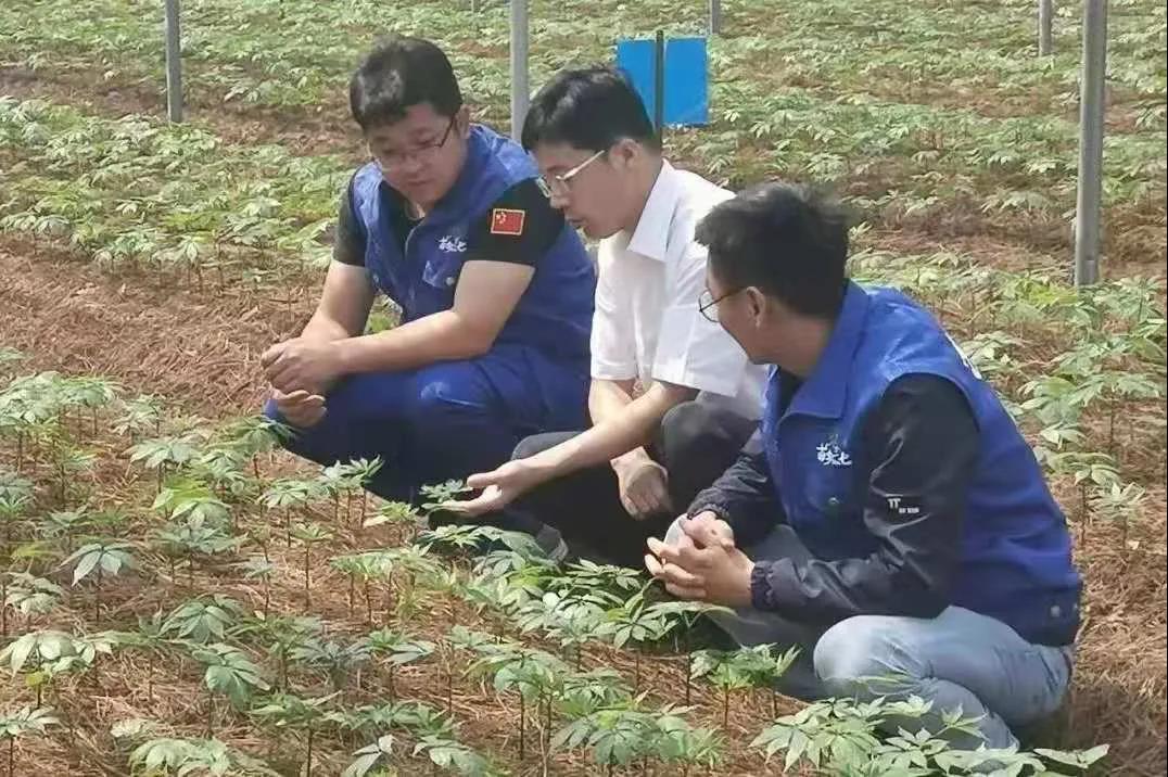 凯时尊龙人生就是博·Z6(中国)首页官网