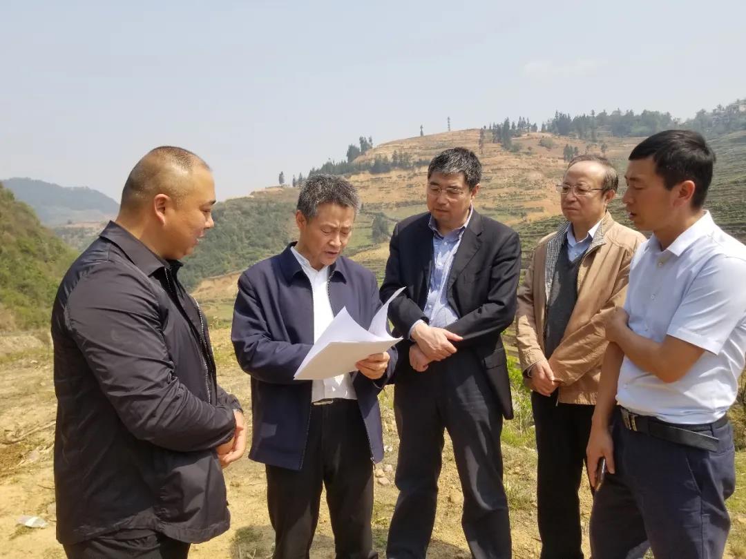 凯时尊龙人生就是博·Z6(中国)首页官网