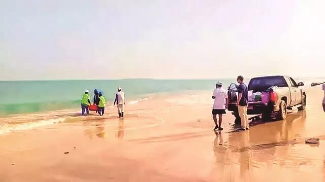 凯时尊龙人生就是博·Z6(中国)首页官网